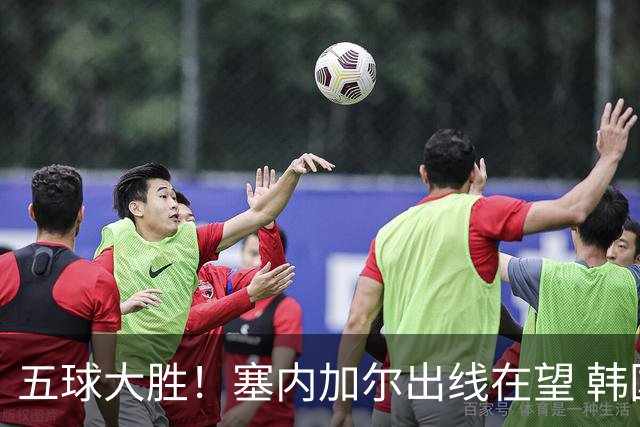 五球大胜！塞内加尔出线在望 韩国晋级仅剩理论希望
