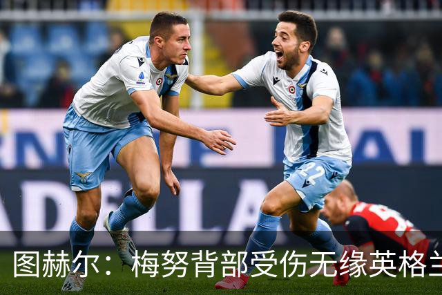 图赫尔：梅努背部受伤无缘英格兰季军赛，内维尔质疑半决赛为何弃用