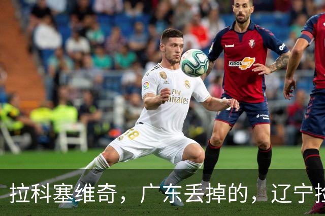 拉科塞维奇，广东丢掉的，辽宁捡走了