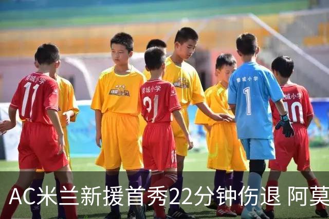AC米兰新援首秀22分钟伤退 阿莫林回应：不严重